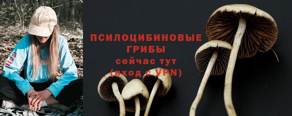 прущие грибы Абдулино
