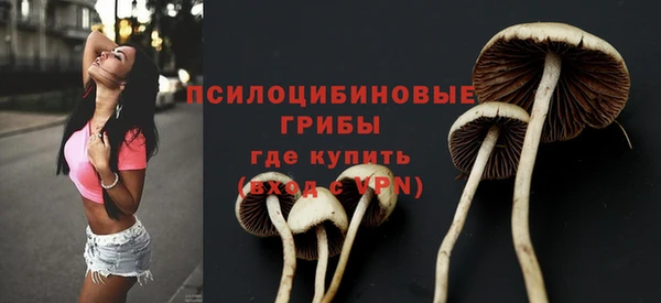 прущие грибы Абдулино