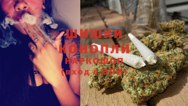 прущие грибы Абдулино