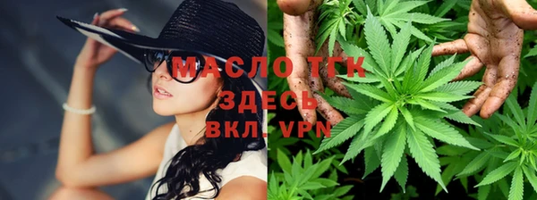 прущие грибы Абдулино